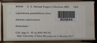 Image Associated With the Occurence